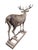 Farmhouse Antique 12-Point Whitetail Deer Full Body Mount For Sale - Image 3 of 8