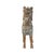 Chinese Vintage 'Dragon Horse' Chinese Qulin Temple Display For Sale - Image 3 of 9