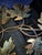 1970s Mid-Century Modern Curtis Jere Style Copper Maple Leaf Wall Sculpture For Sale - Image 11 of 15