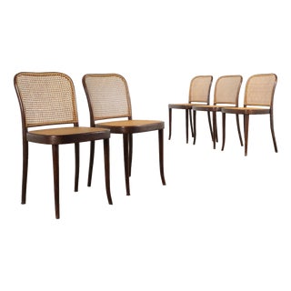 Vintage Chairs in Beech, 1950s, Set of 5 For Sale