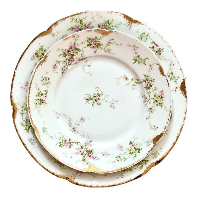 Early 20th Century Haviland France Haviland & Co., Limoges Dinnerware Plates- 2 Pieces For Sale