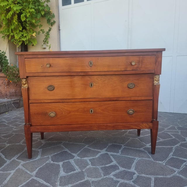 Return from Egypt Cherrywood Chests of Drawers, 1820, Set of 2 For Sale - Image 11 of 13