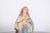 Sculpture of Our Lady of the Immaculate Conception For Sale - Image 6 of 8
