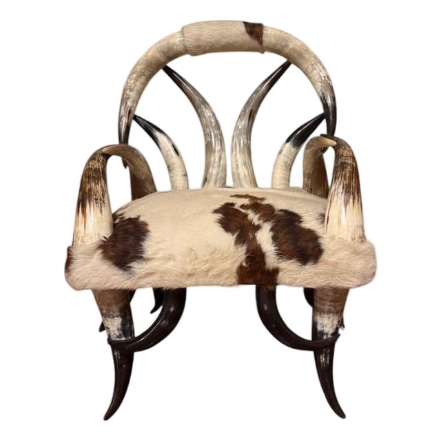 Cattle Horn Cowhide Chair For Sale