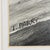 Drawing/Sketching Materials After the Bloom - Tomoko Parry, C. 1990s For Sale - Image 7 of 10