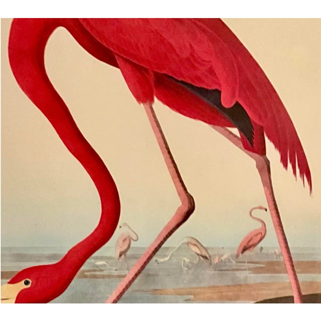 1960s Pair. Of Original Prints John James Audubon the American Flamingo and the Great Blue Heron Double Giltwood Rope Framed Linen Matte. For Sale In Los Angeles - Image 6 of 10