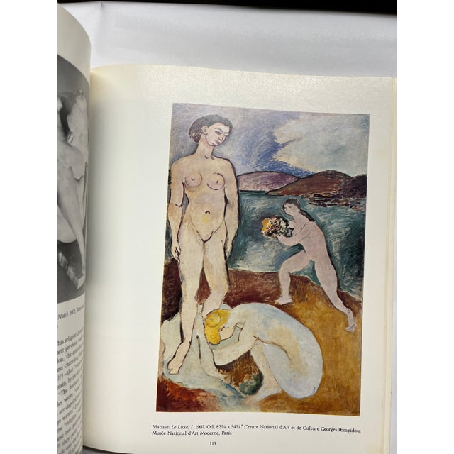 Fauvism Wild Beasts Elderfield Book For Sale - Image 12 of 12