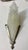 Silver 1920s Pair of French Art Deco Geometric Sconces Signed by Schneider For Sale - Image 8 of 11