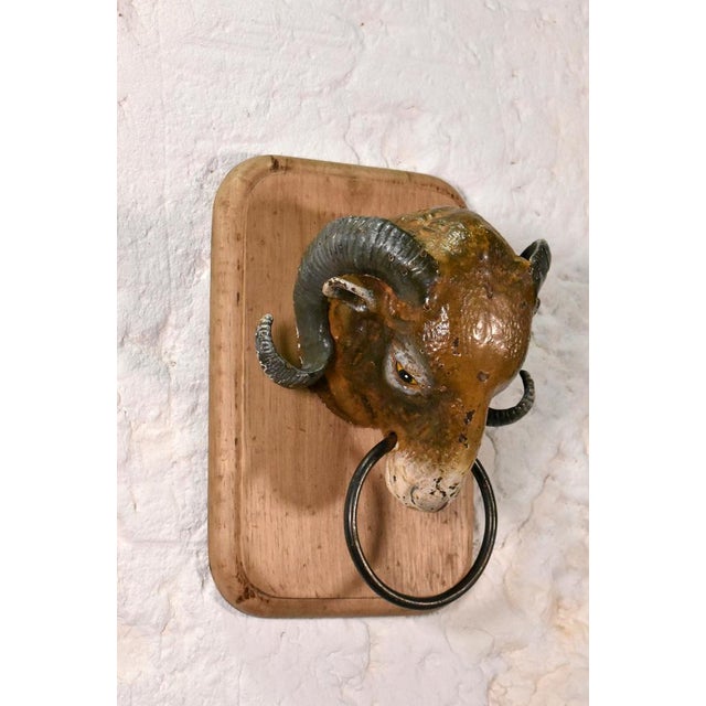 Antique French Rams Head from Butchers Shop, 19th Century For Sale - Image 4 of 10