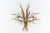 Large Wheat Sheaf Wall Light by Hans Kögl, Germany, 1970s For Sale - Image 11 of 11