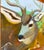 Brown “Buck Beauty” a Deer Painting by LWren Walraven For Sale - Image 8 of 13