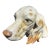 English Setter in Glazed Porcelain, Signed LLadro For Sale