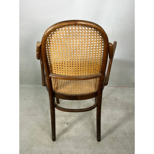 Mid-Century Modern Vintage Thonet Style Bentwood Armchair For Sale - Image 3 of 10