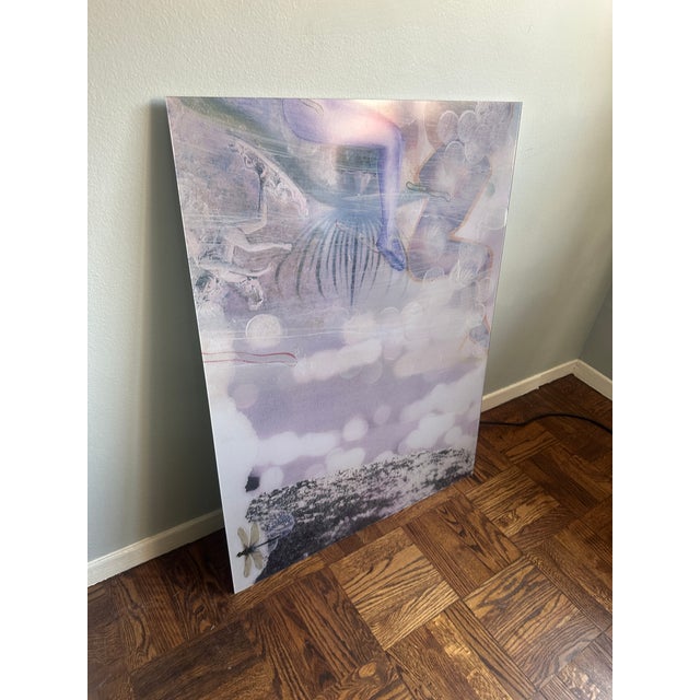Sheree Friedman Contemporary Plexi-Sandwiched Print — Dragonfly / Abstract, 40" X 30" For Sale - Image 4 of 7