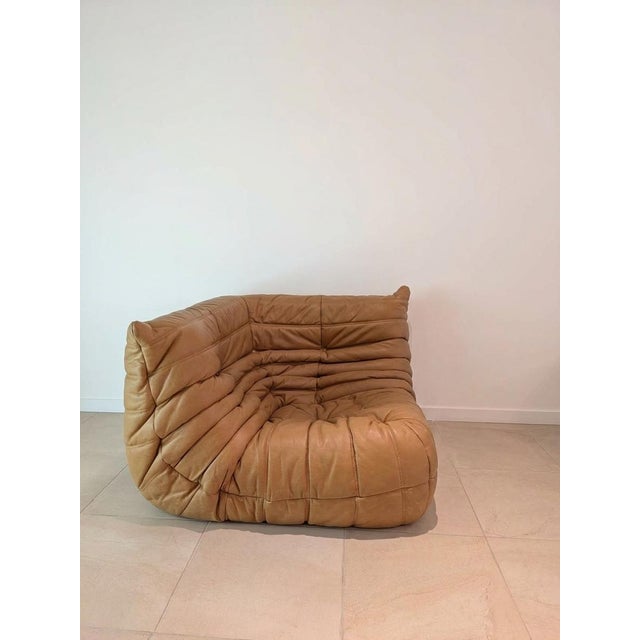 Togo Chairs by Michel Ducaroy for Ligne Roset, 1973, Set of 2 For Sale - Image 3 of 9