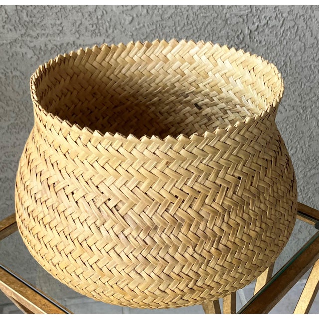 Ecru Late 20th-Century Nicely-Sized Tarahumara Handwoven Sotol Leaf Cachepot, Mexico For Sale - Image 8 of 18