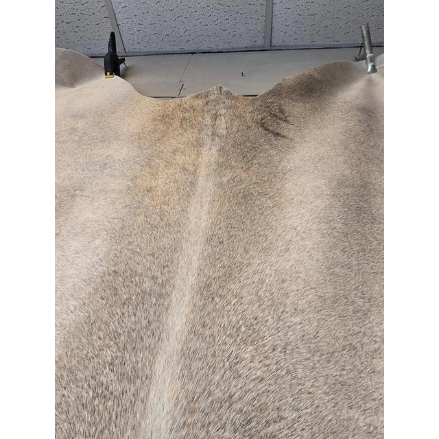 Large White and Grey Genuine Cowhide Rug For Sale - Image 6 of 18