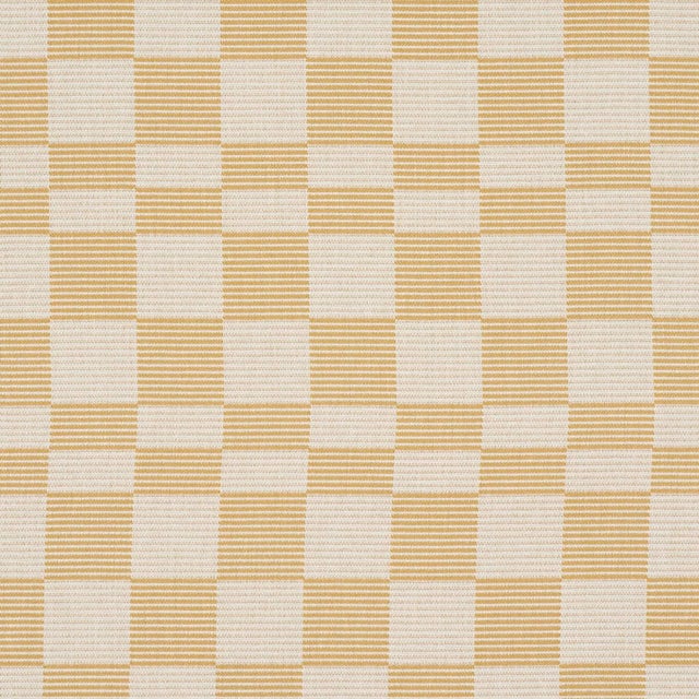 Contemporary SAMPLE - Schumacher Morro Indoor/Outdoor Fabric In Maize For Sale - Image 3 of 4