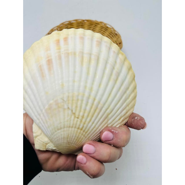 Wood Vintage Shell and Wicker Serving Pieces For Sale - Image 7 of 8