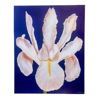 Clarence Measelle, Photorealism Still Life Acrylic Painting Flower Photo Realist Orchid, Vivid Blue For Sale