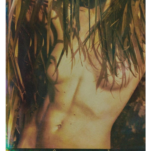 Wild - Signed limited edition archival pigment print on an textured art paper - Edition of 8 Photography : 2011 Bichromate...