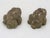 Pair of Reconstituted Stone Frog Garden Ornaments, England 1970s For Sale - Image 4 of 6