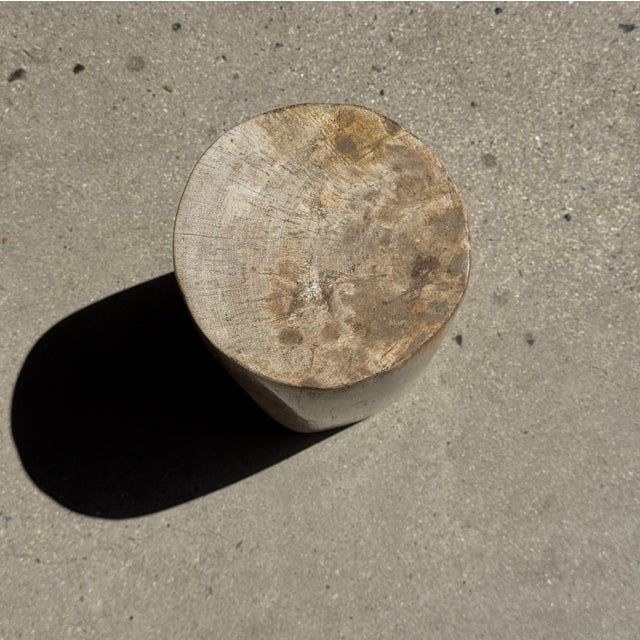 Small Side Table in Speckled White and Beige Petrified Wood, 1980s For Sale - Image 12 of 18