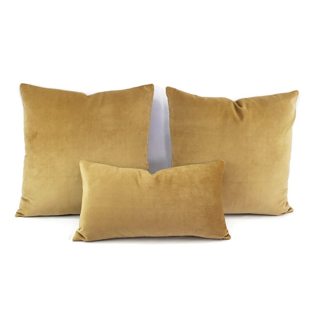 Contemporary Solid Brown Velvet Lumbar Pillow Cover For Sale In Portland, OR - Image 6 of 7