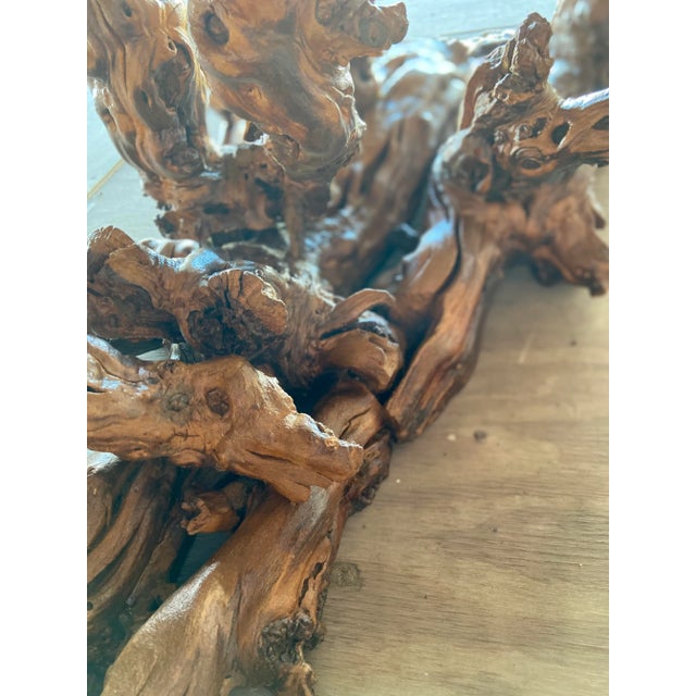 Brown 1970s Gnarled Grape Burl Wood Coffee Table With Peanut Glass Top For Sale - Image 8 of 12