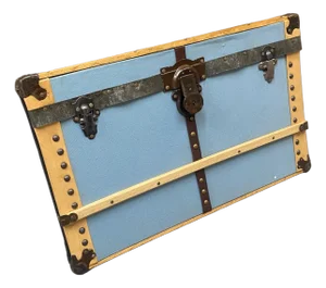 Wall Art Trunk Face