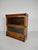Antique Mahogany Bookcase from Globe-Wernicke, 1890s For Sale - Image 11 of 15