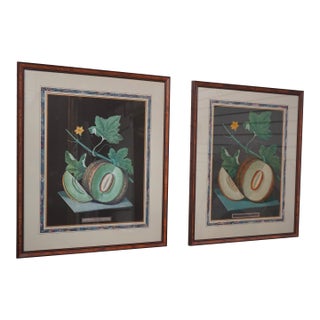Pair of Fruit Prints by George Brookshaw For Sale