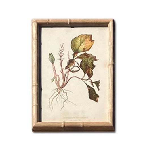 Antique Botanical Chromolithographs — “Wild Flowers of America”, Volume I, L. Prang & Co., Boston (C. 1877) Set of 13 For Sale - Image 4 of 17