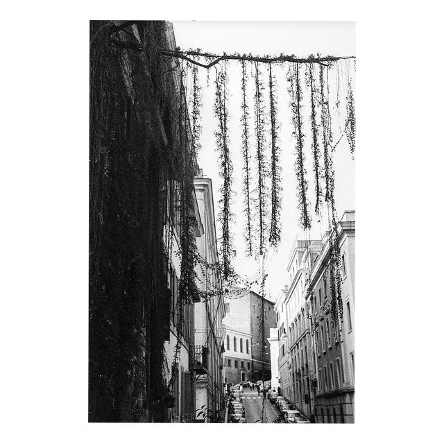 Paul Cooklin, The Streets of Rome, Italy I, Edition of 50 For Sale