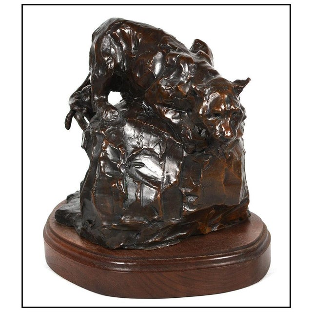 Realism Late 20th Century Gotcha Cougars, Joffa Kerr For Sale - Image 3 of 5