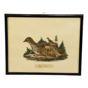 Victorian Taxidermy Diorama With Partridge, Germany Ca. 1900