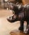 Animal Skin Early 20th Century French Carved Patinated Leather Hippo Sculpture For Sale - Image 7 of 10