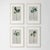 Set of 4 - Organic Modern Original Flower Paintings by Diane Grant Oil and pencil on high quality 'Hahnemuhle' Canvas...