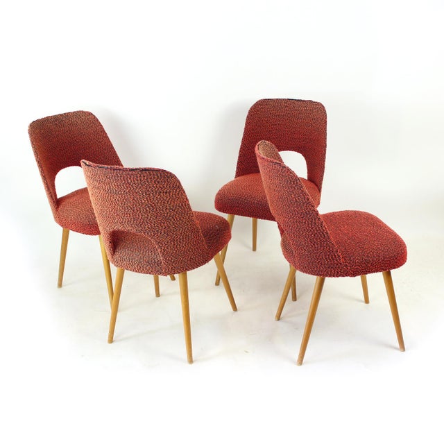 Oswald Haerdtl Vintage Dining Chairs by Oswald Heardtl for Ton, Czechoslovakia, 1960s, Set of 4 For Sale - Image 4 of 16