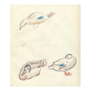 1940s Grace Spongberg Duck Drawing For Sale