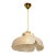 Flower Pendant Lamp from Hillebrand, Europe, Germany For Sale