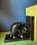 Vintage Ebony Elephant Bookends, 1950, Set of 2 For Sale - Image 6 of 11