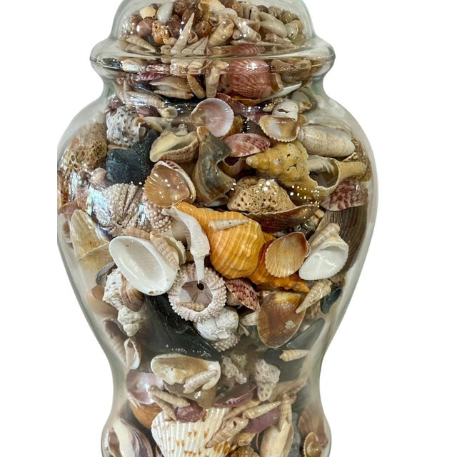 Shell Vintage Glass Ginger Jar Shell Filled Lamp For Sale - Image 7 of 18