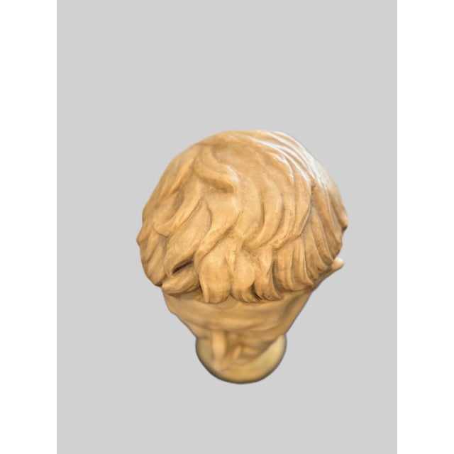 Late 20th Century Neoclassical Roman Emperor Bust – Faux Marble Resin Sculpture – 20” For Sale - Image 5 of 9
