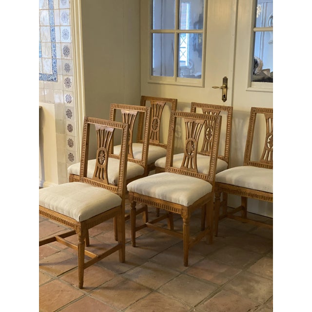 That's a great great \.\. 6er chair sequence from 1720! The six pieces have been restored. The Gustavian chairs are...