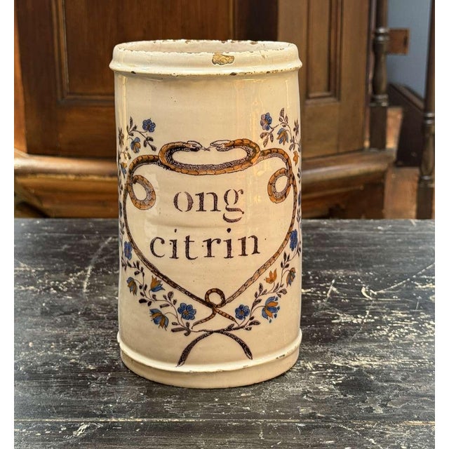 19th Century Earthenware Pharmacy Jar with Branches and with Snakes For Sale - Image 9 of 9