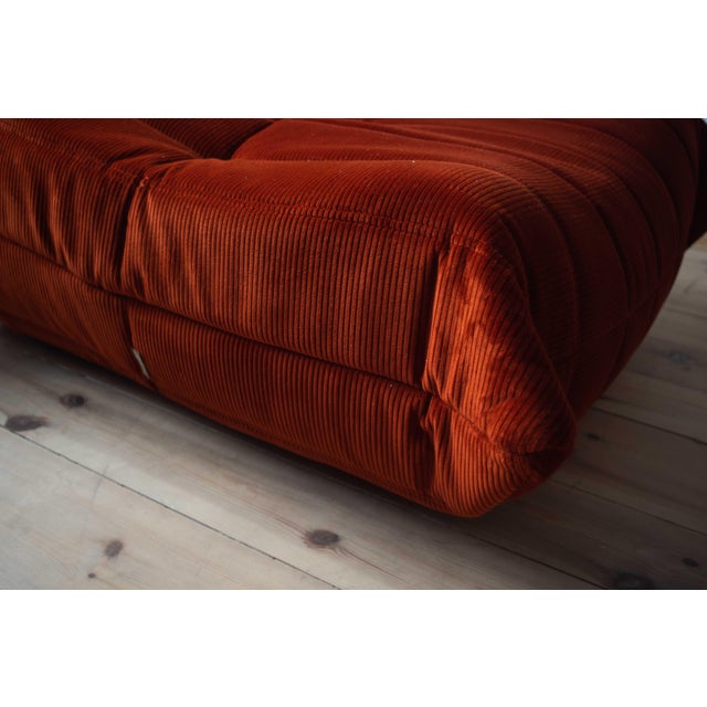Amber Corduroy Togo Lounge Chair with Pouf and Three-Seat Sofa by Michel Ducaroy for Ligne Roset, Set of 3 For Sale - Image 3 of 11
