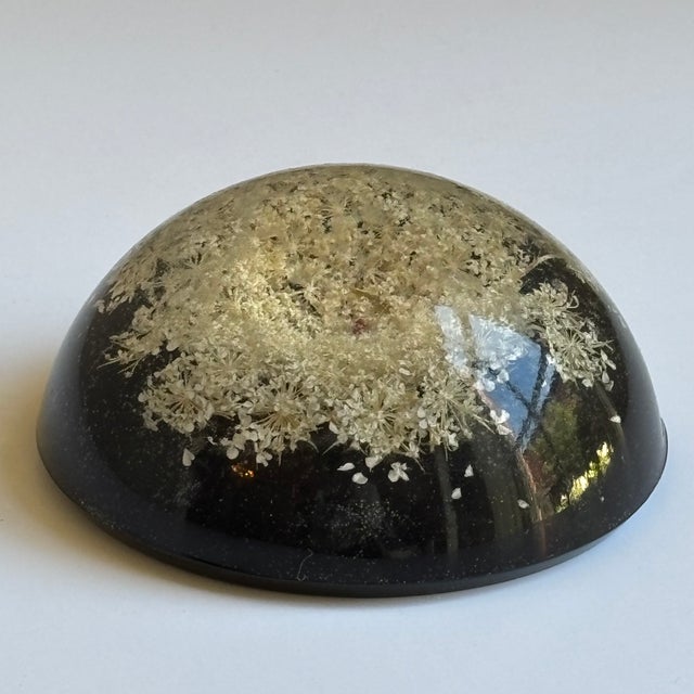 Mid-20th Century Signed William Rolfe Botanical Resin Paperweight For Sale - Image 12 of 15