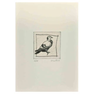 Enotrio Pugliese, Pigeon, Etching, 1963 For Sale