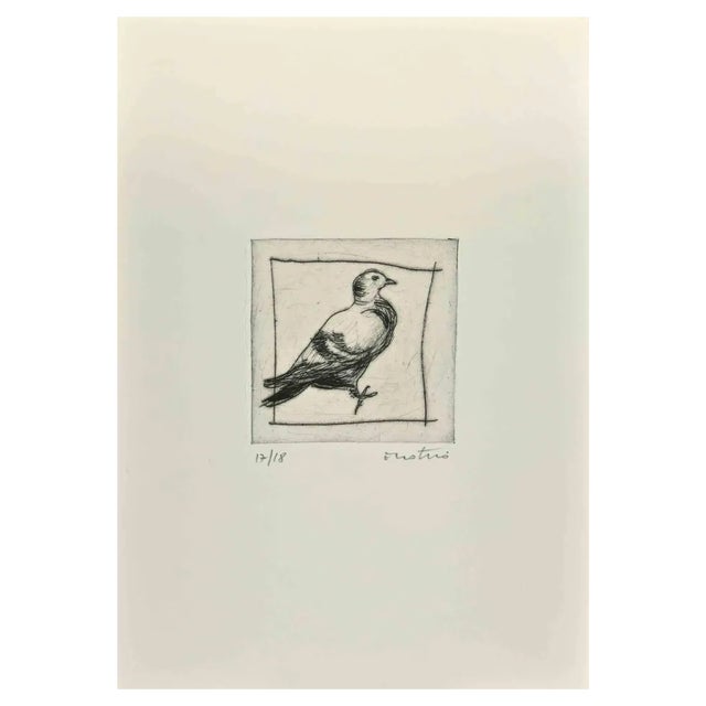 Enotrio Pugliese, Pigeon, Etching, 1963 For Sale